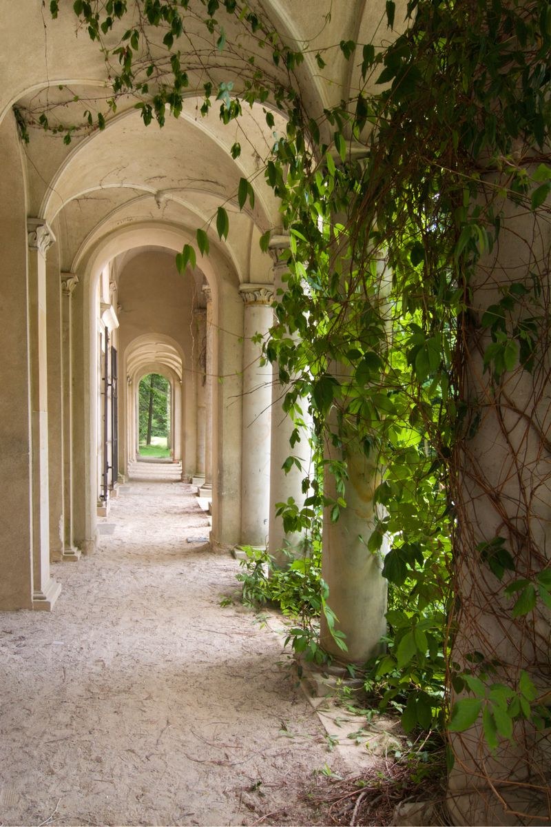 Арка с колоннами