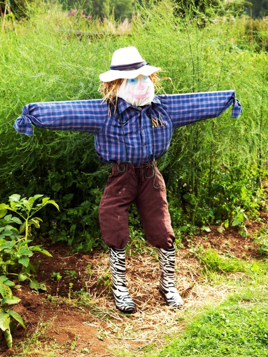 Пугало в огороде