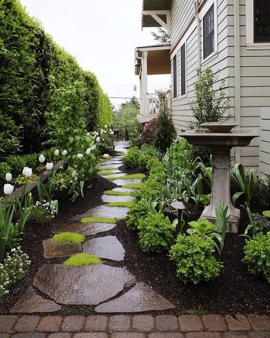 Озеленение дачного участка