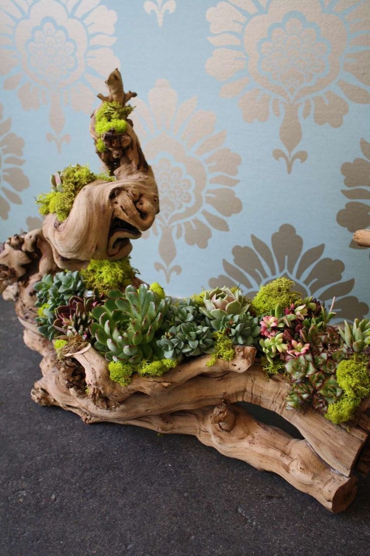 Фитодизайн рутарий