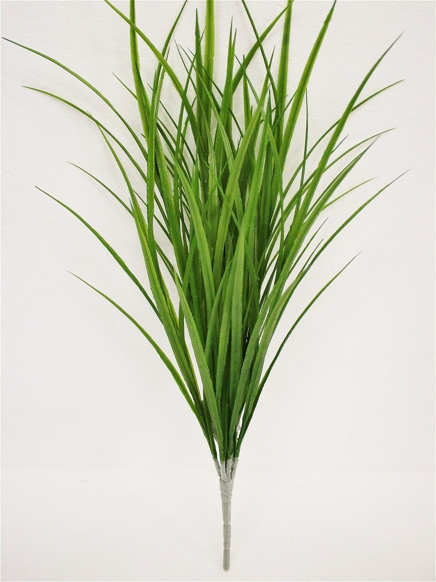 Осока трава