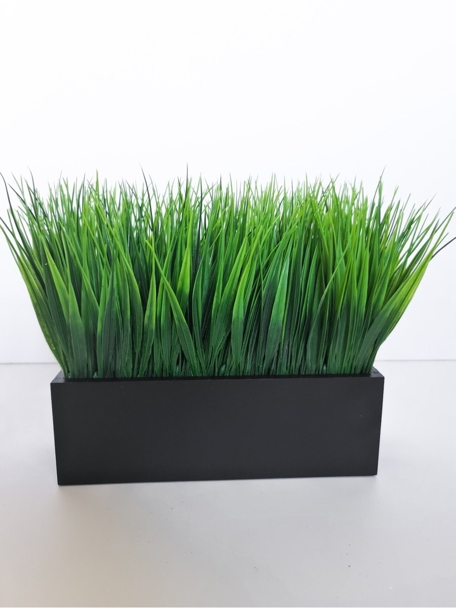 Осока в горшке