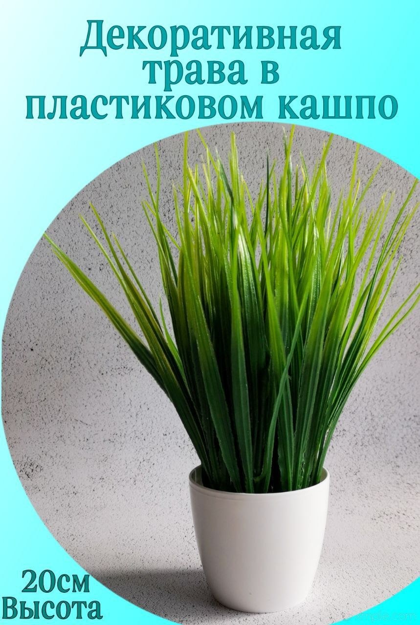 Осока трава в интерьере (88 фото)