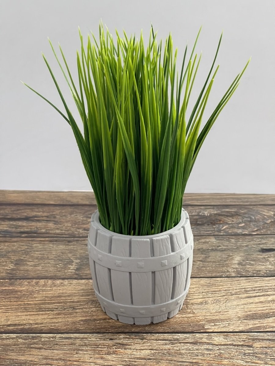 Трава Осока в горшке