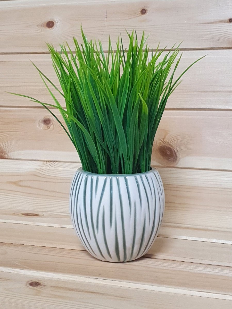 Осока в горшке для декора