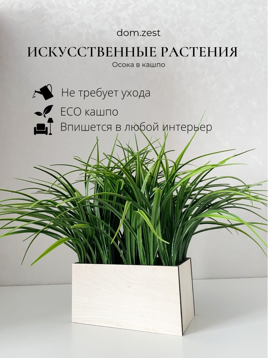 Твой дом растения