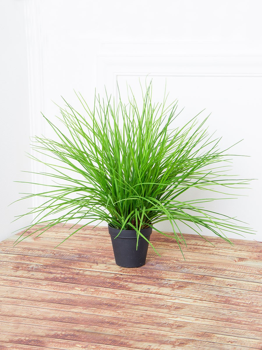 Искусственная Осока в интерьере