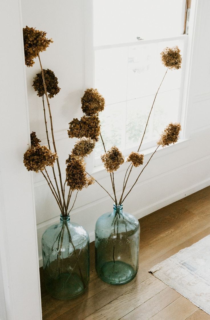 Засушенные растения для декора