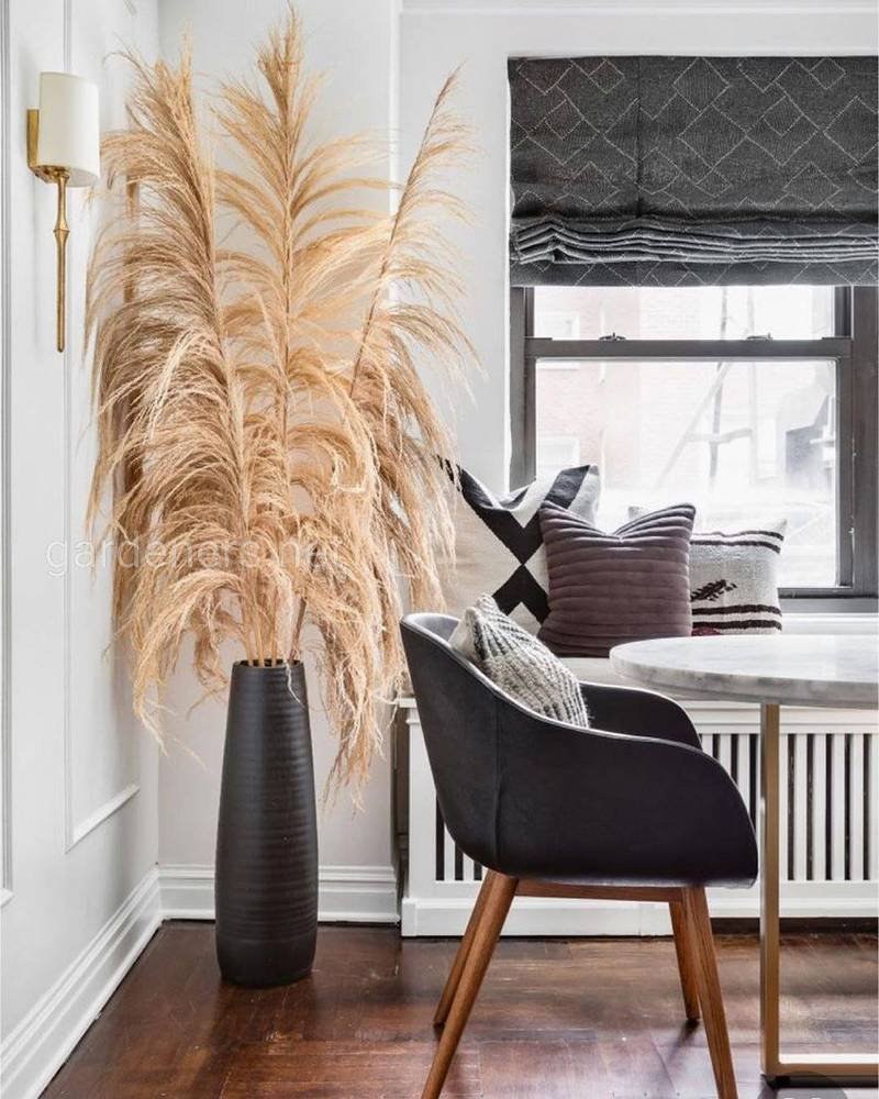 Пампасная трава сухоцвет в интерьере