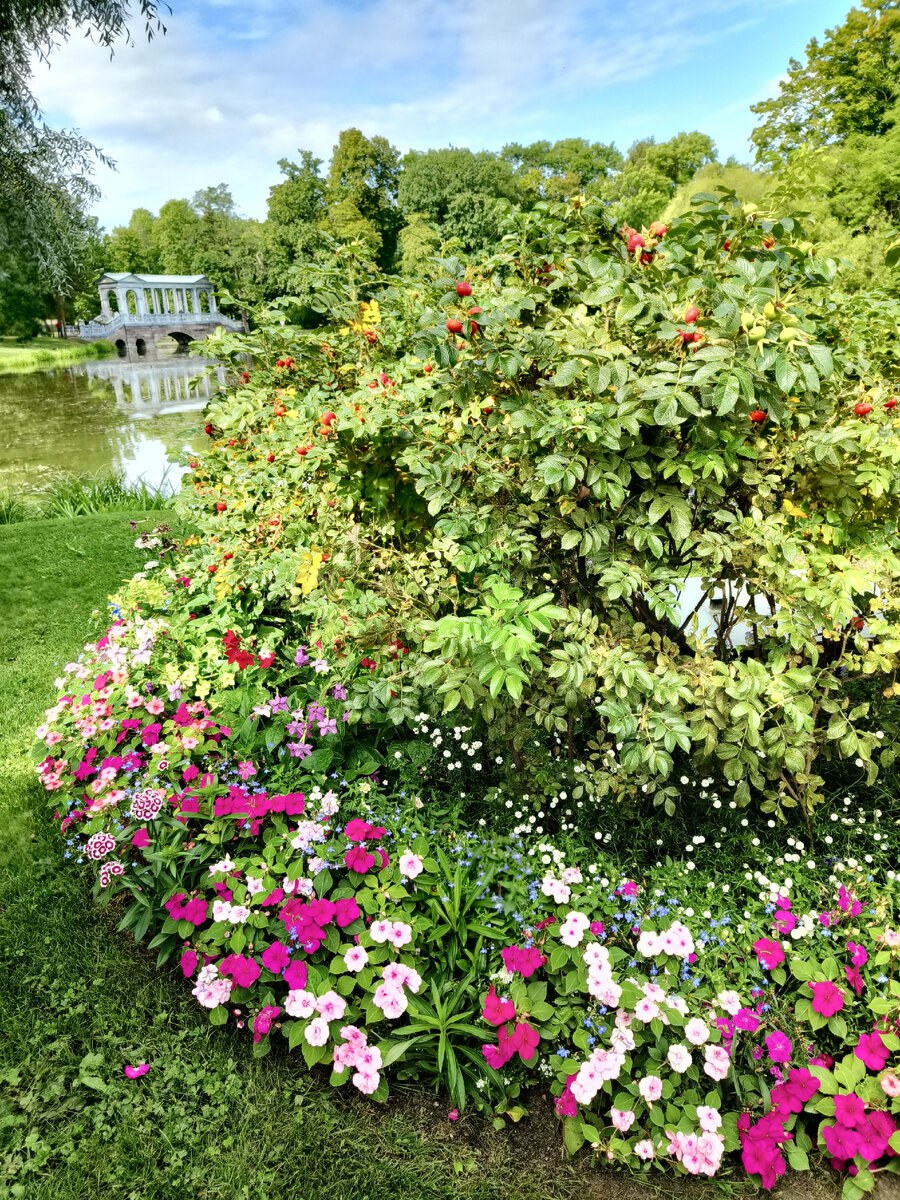 Сад Натальи Плюшкиной Подмосковье