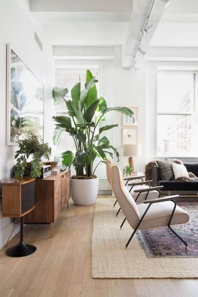 Цветы в интерьере