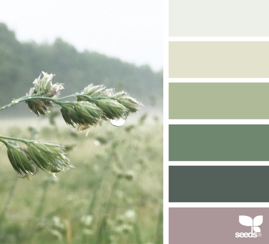 Цвет шалфей и Полынь