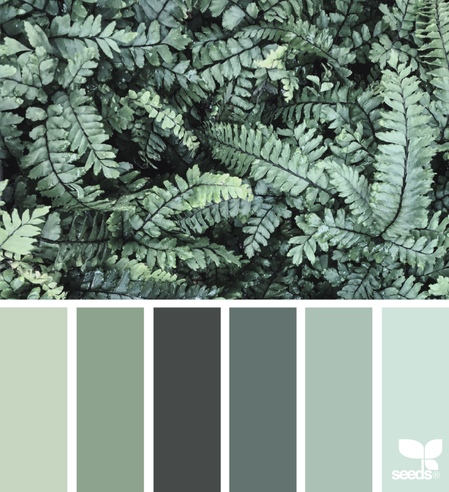 Seeds Color Palette изумрудный