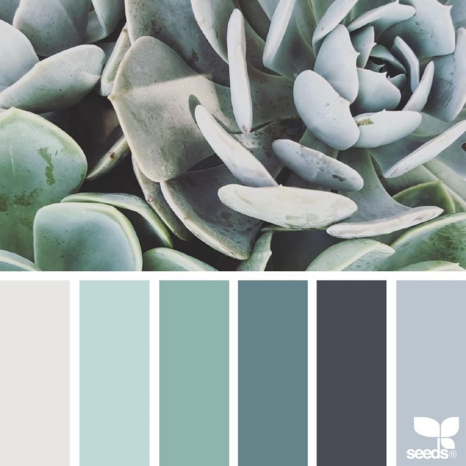 Монохромное сочетание цветов