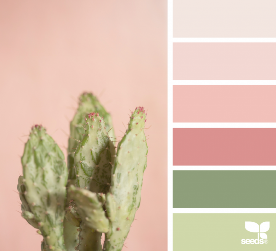 Сочетание цветов оливковый