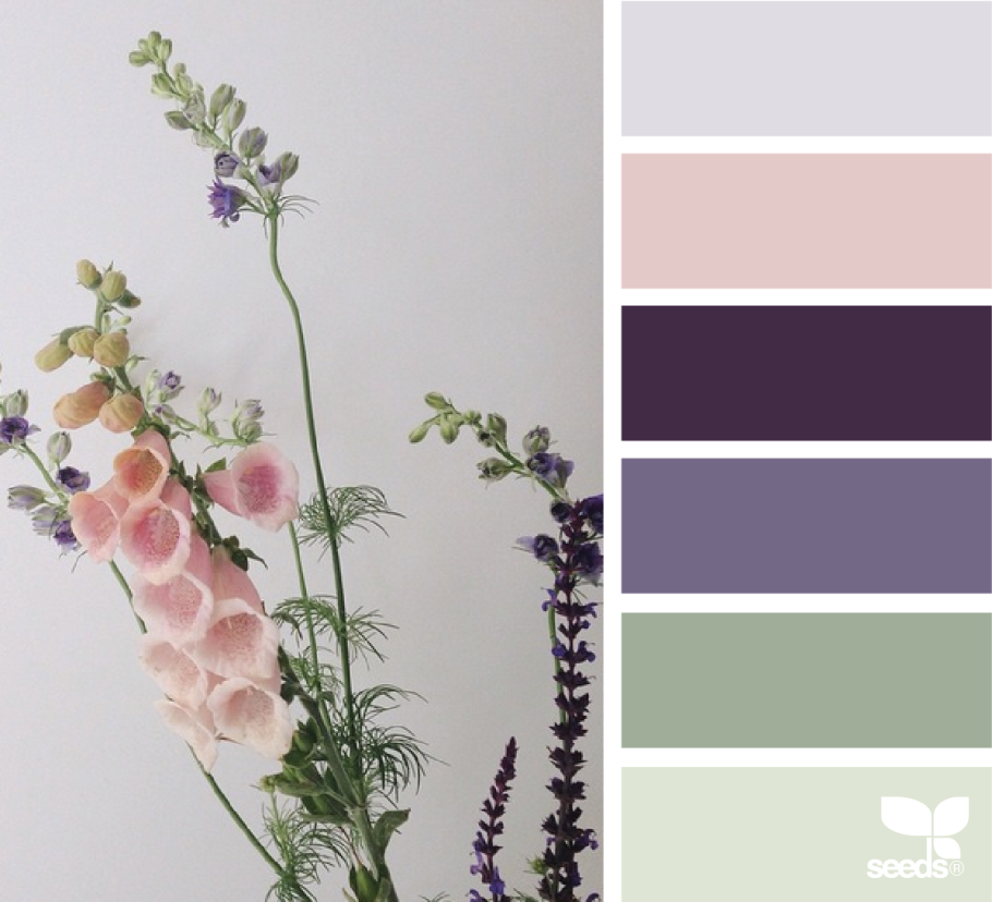 Цветовая палитра пантон шалфей