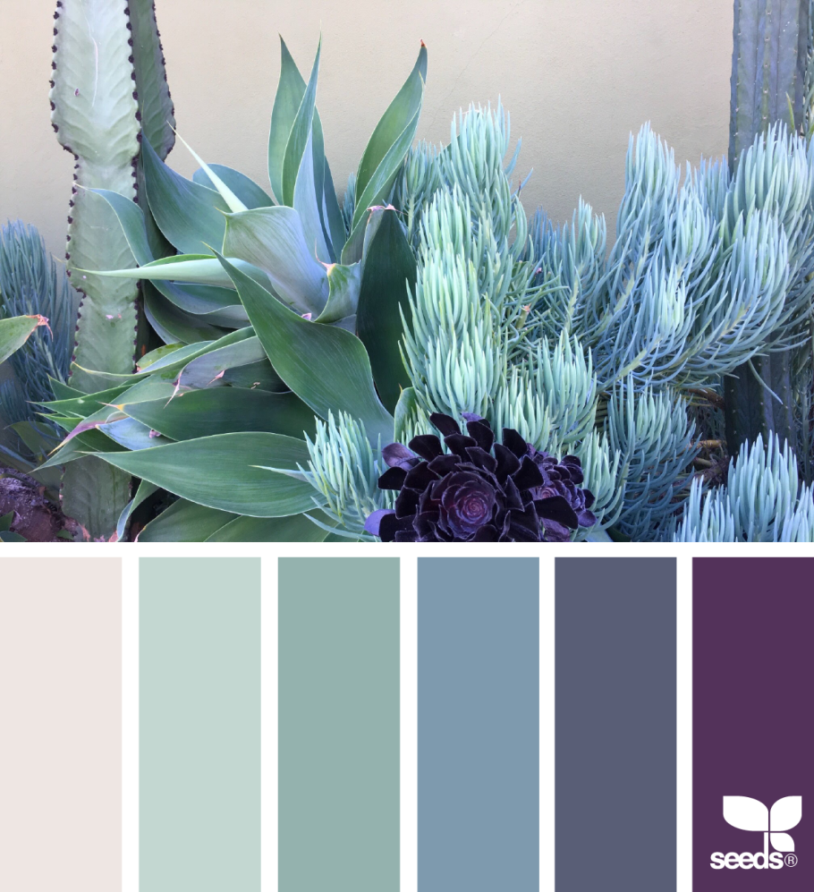 Цветовая палитра пантон шалфей