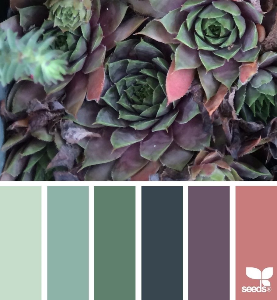 Seeds Color Palette изумрудный