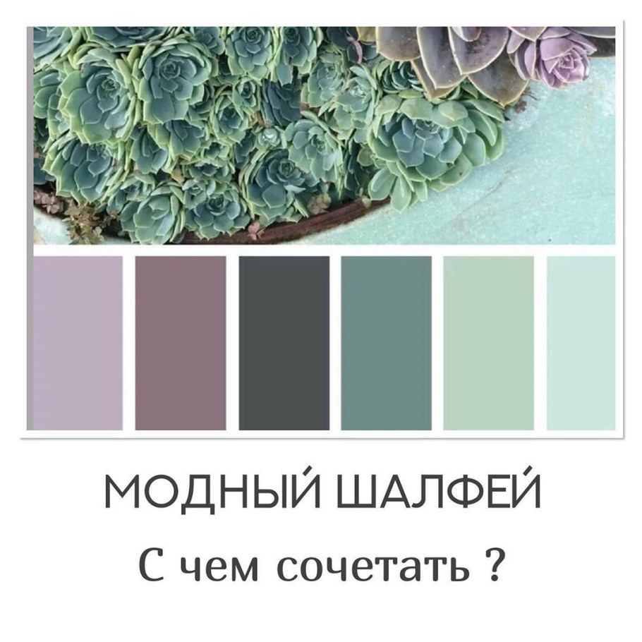 Цвет пустынный шалфей в интерьере