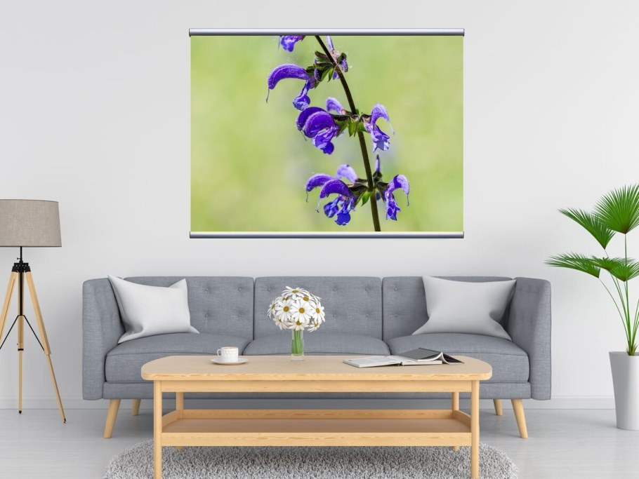 Картина клематисы в интерьере