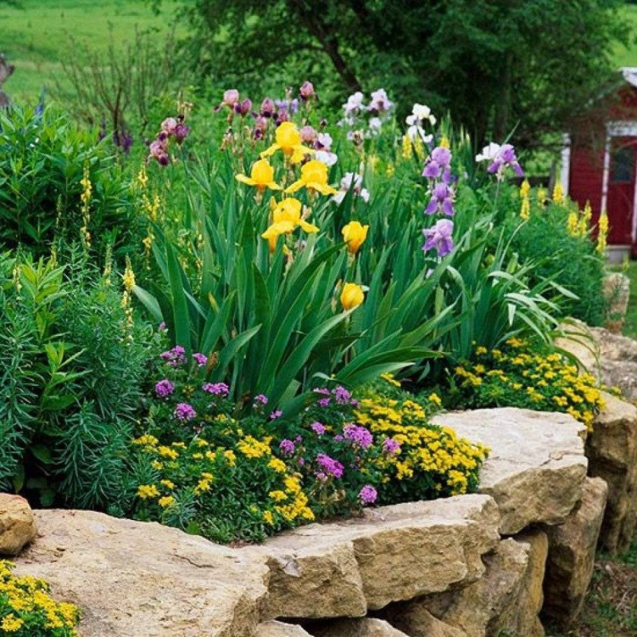 Миксбордер лилейник ирисы