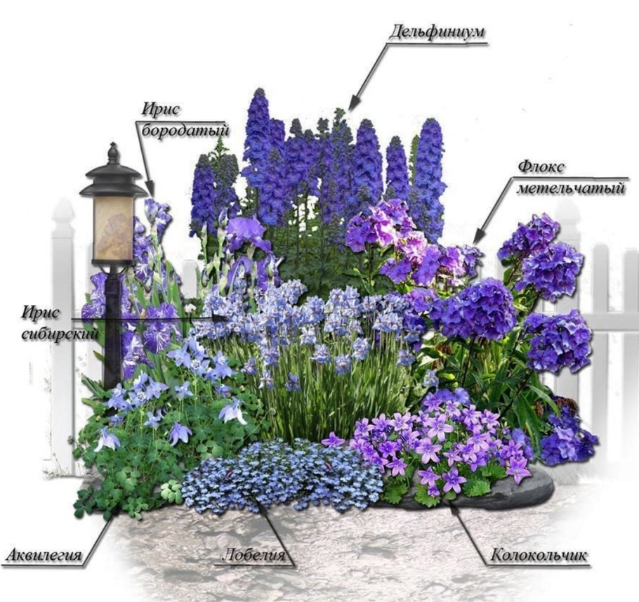 Миксбордер с дельфиниумом