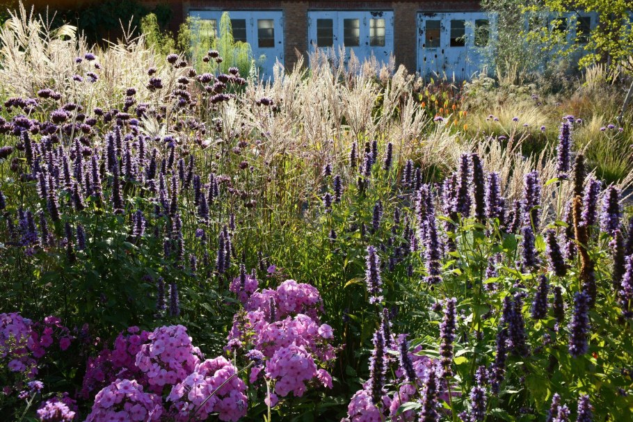 Лофант (Агастахе)