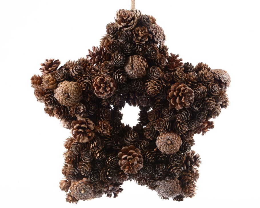 Звезда из еловых шишек