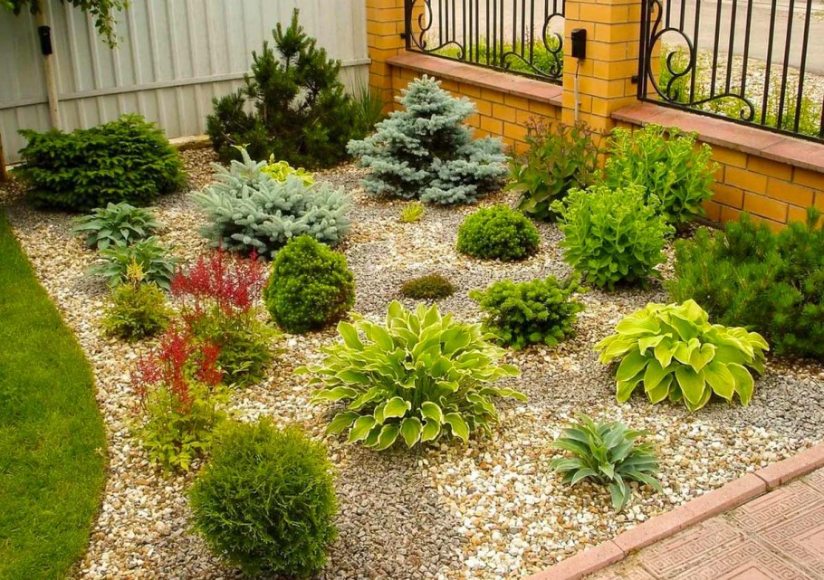 Рокарий с хвойными