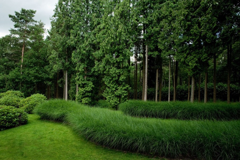 Хвойно Лиственная Живая изгородь