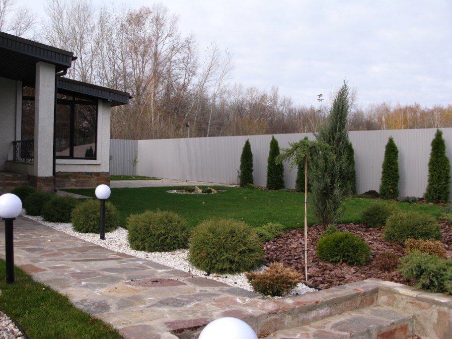 Туи и газон на участке