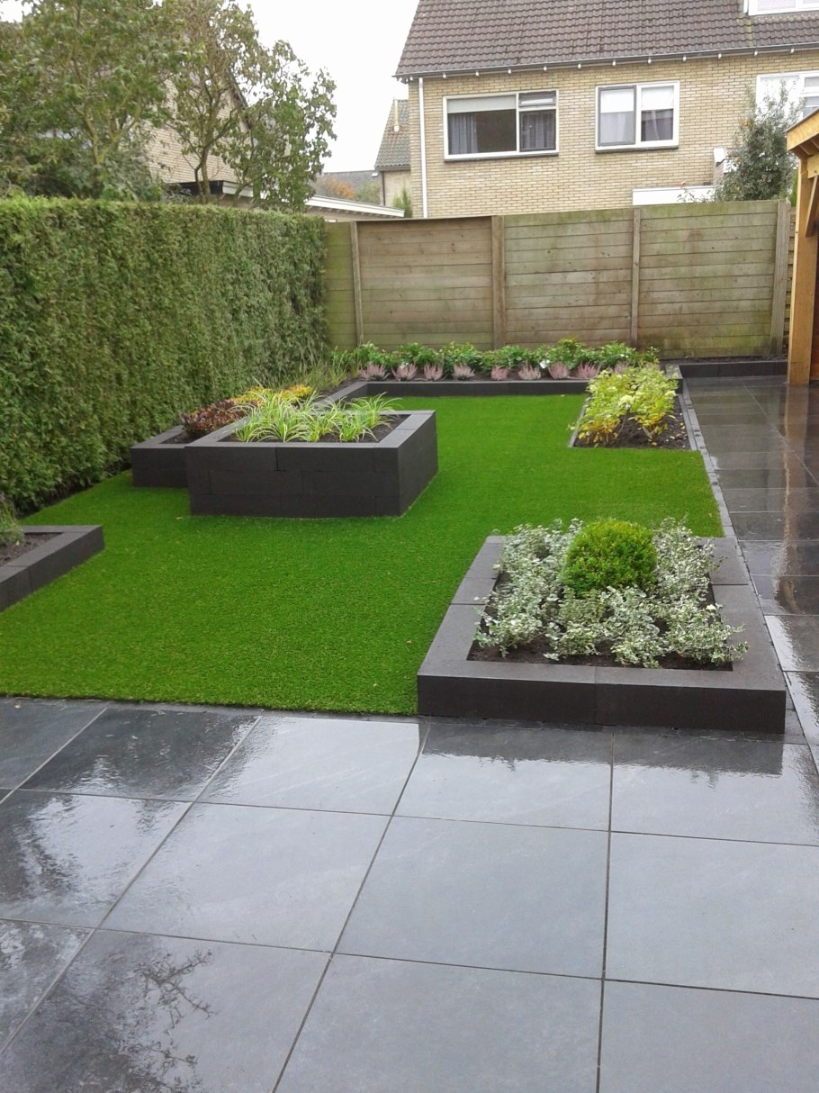 Газон на участке