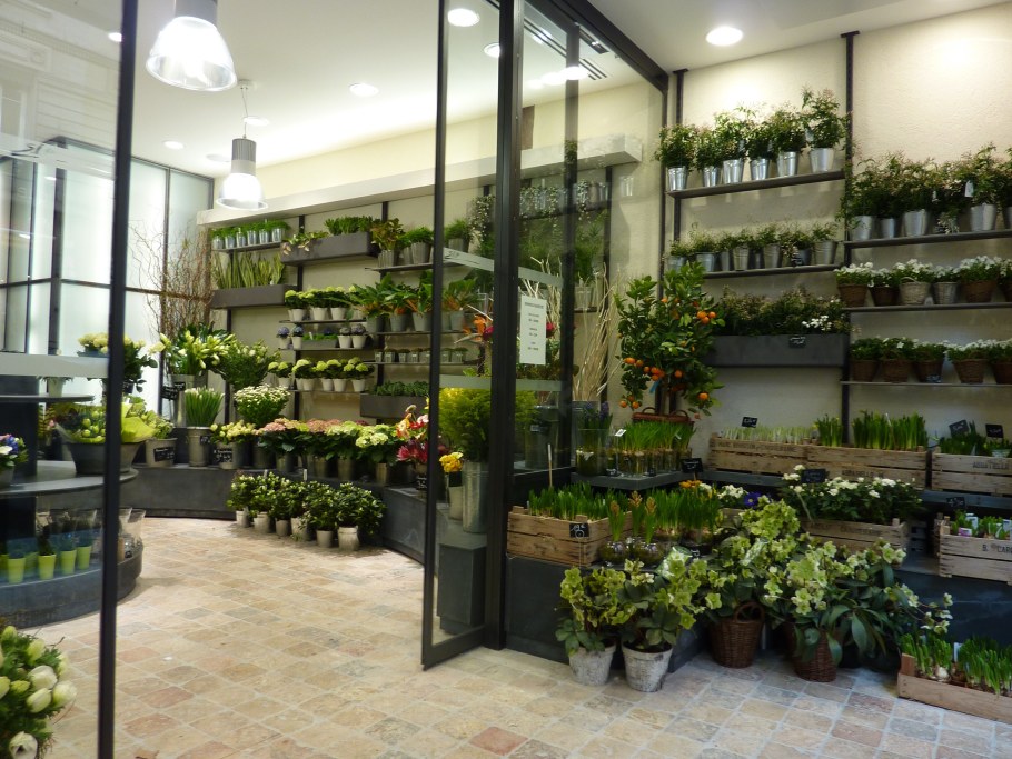 Витрина для растений