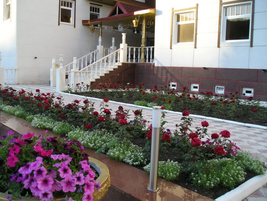 Палисадник Калифорния