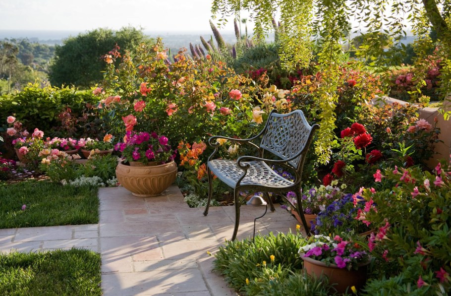 Композиции в саду