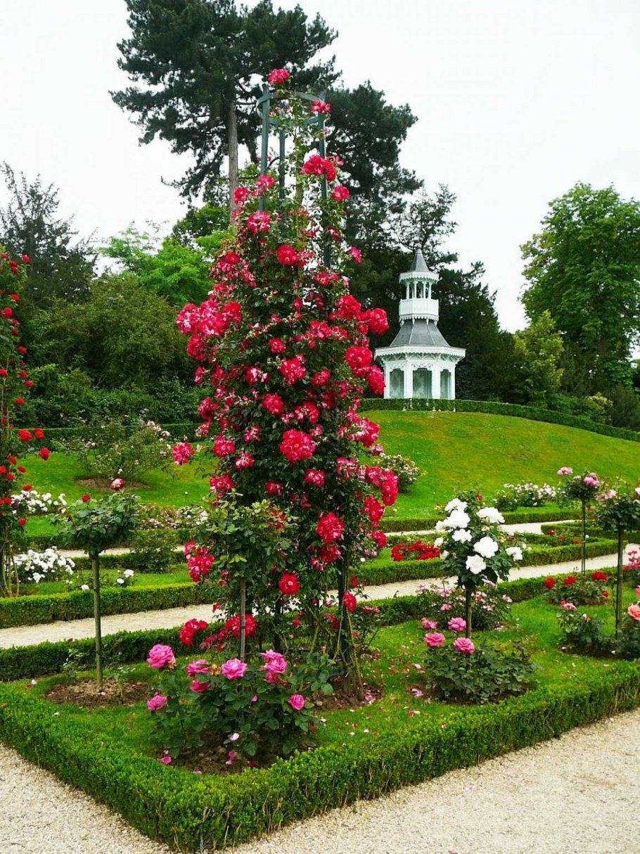 Парк Багатель розарий