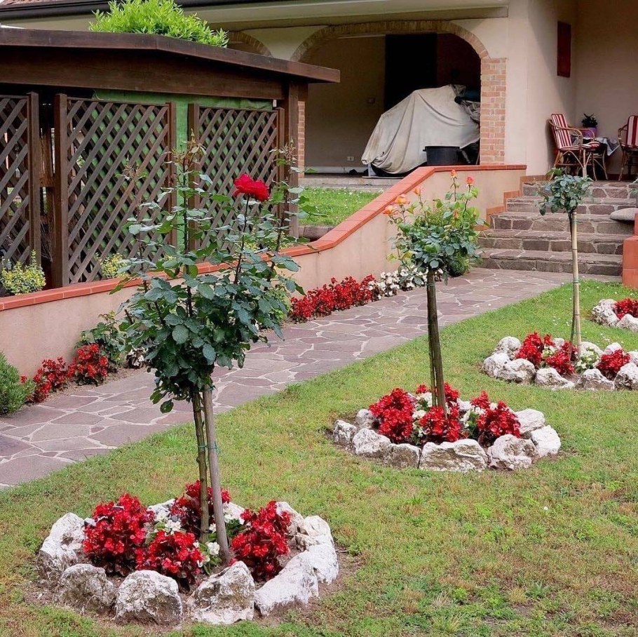 Приствольный круг яблони портулак