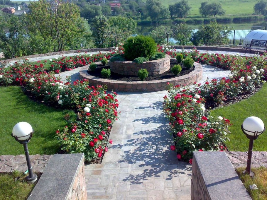 Rose Garden. Розарий планировка