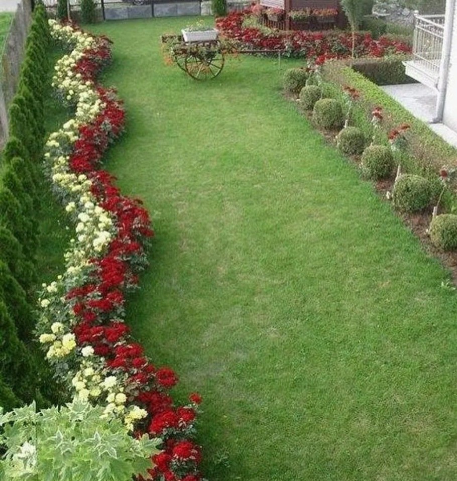 Розарий рабатка