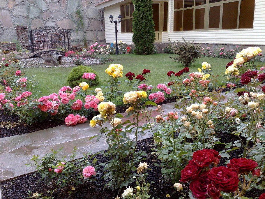 Розарий альпинарий