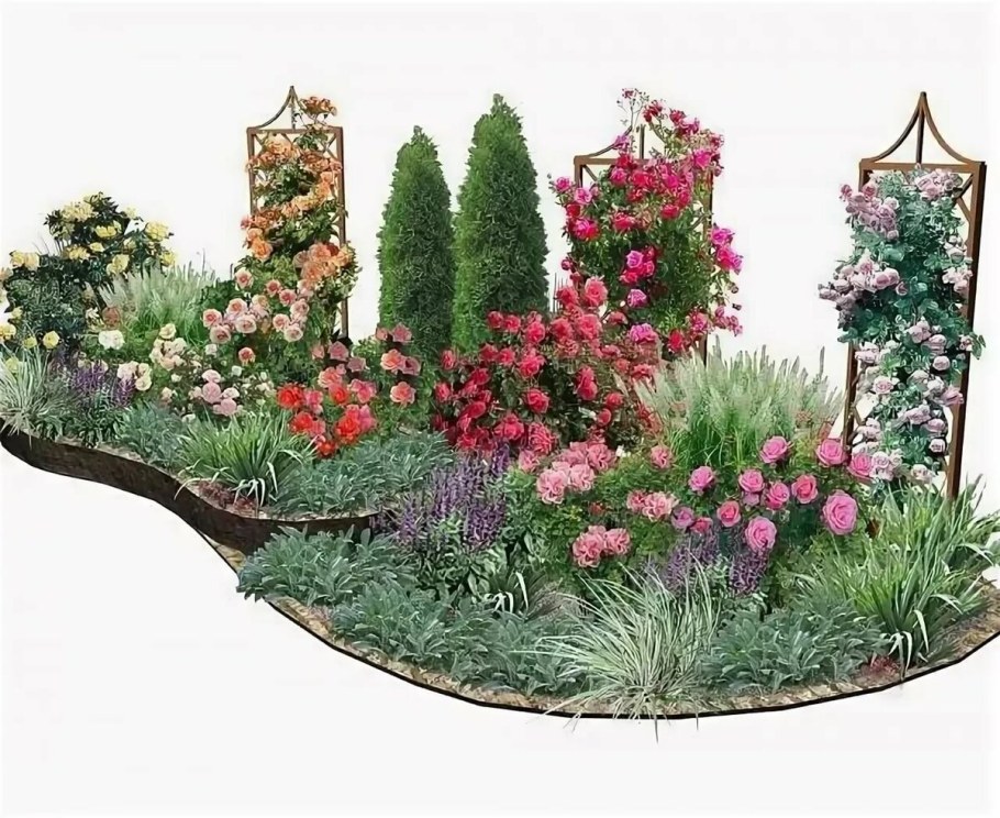 Миксбордер с туями