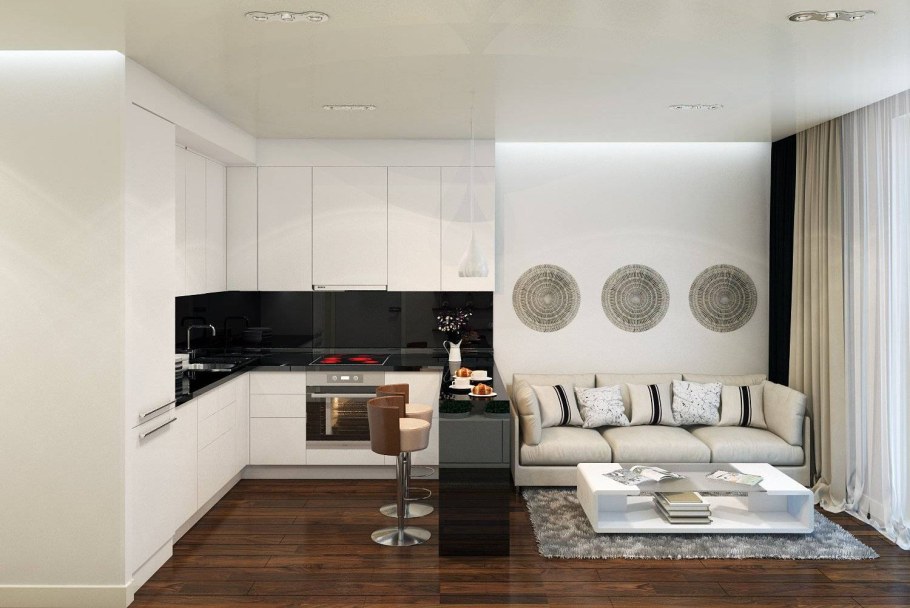 Кухня-гостиная 20 кв.м евродвушка