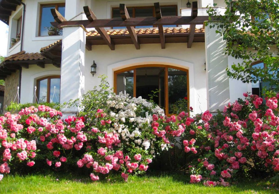 Роза Розария Югторсан