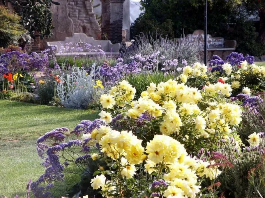 Розариум в ландшафте