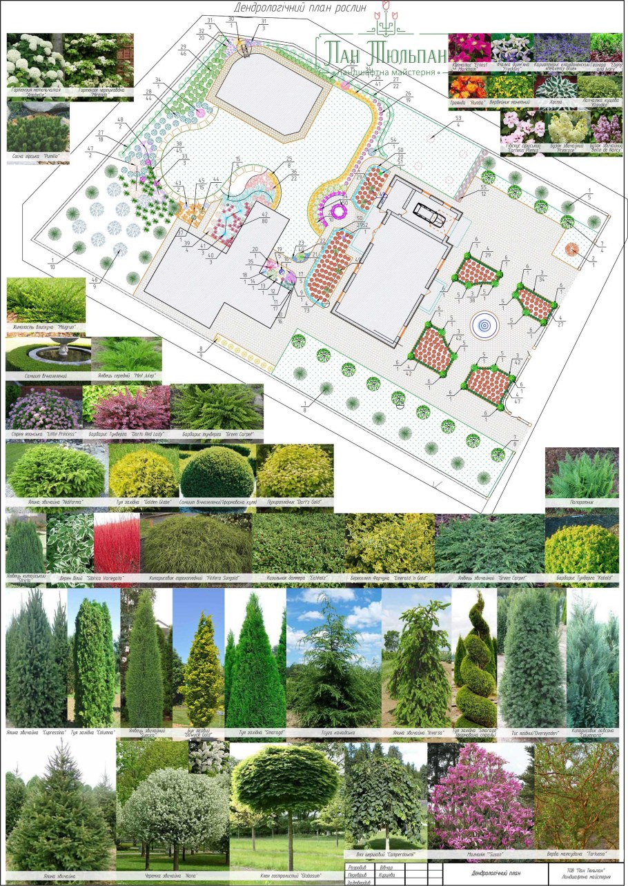 Вилена Никулина ландшафтный