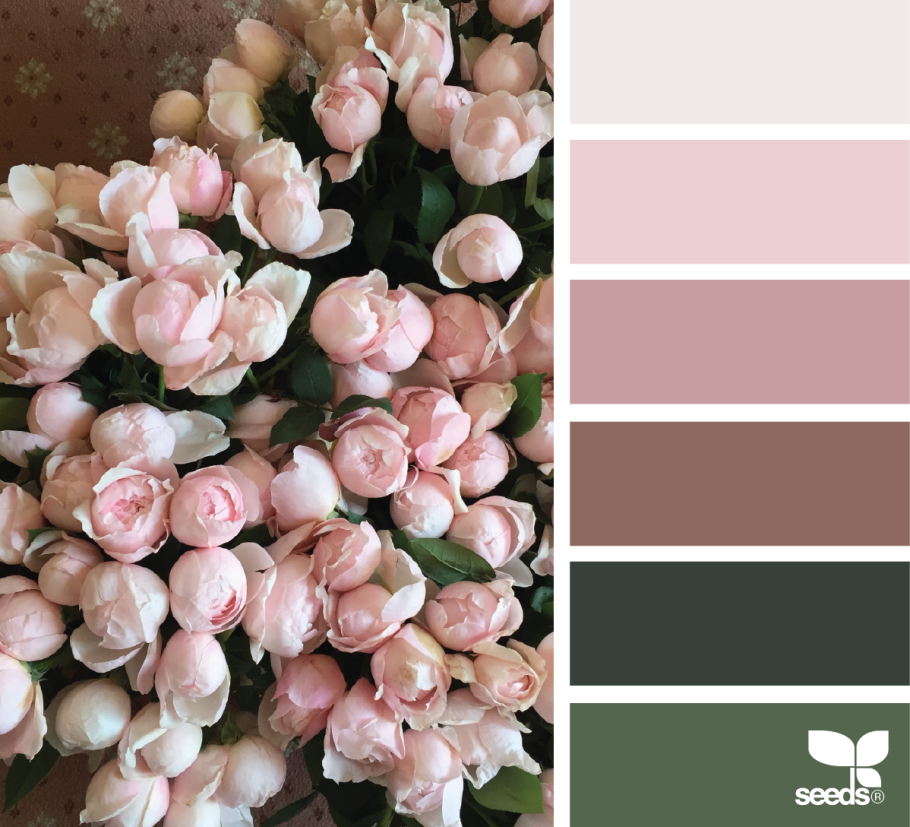 Палитра цветов нюдовых оттенков