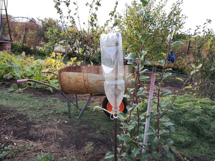 Самоделки для сада и огорода