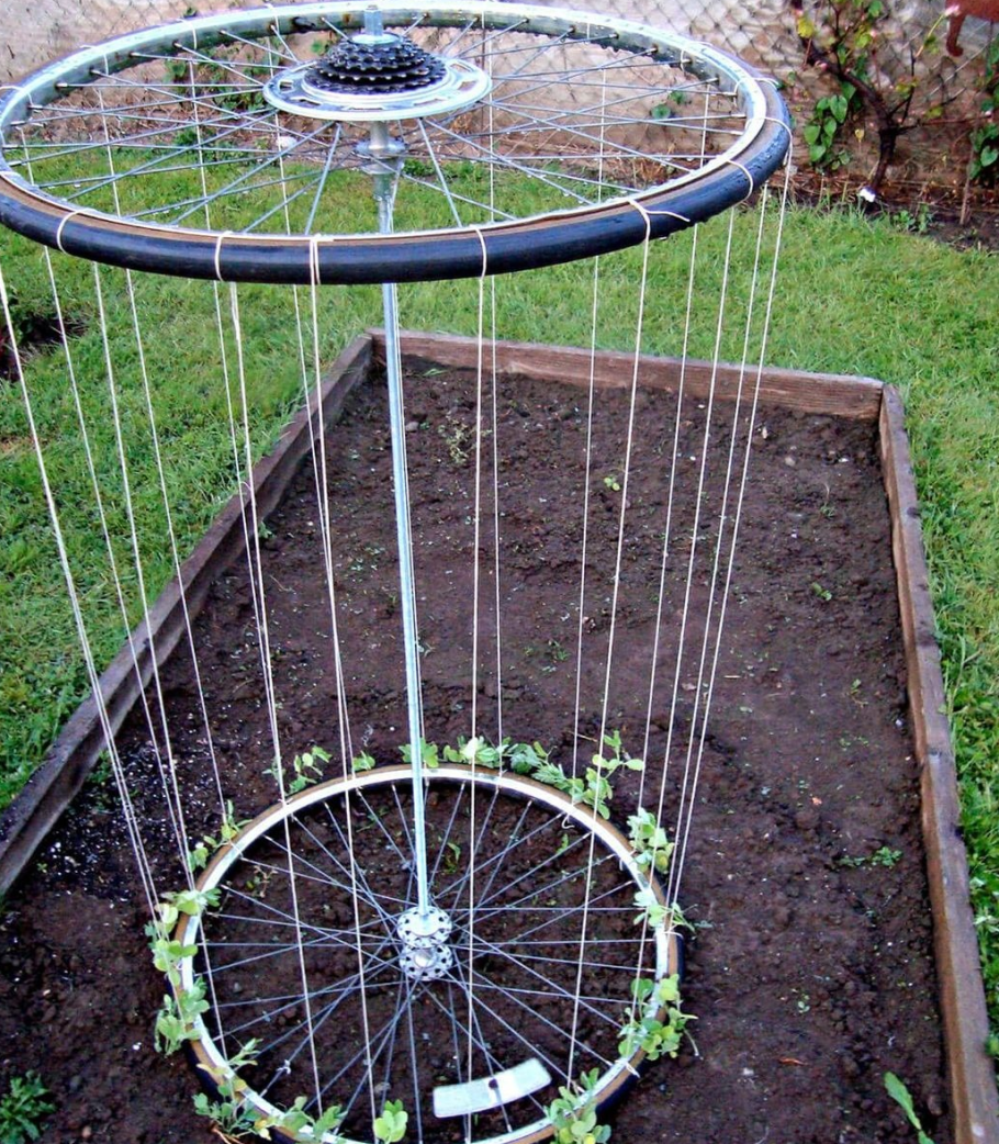 Идеи для сада и огорода своими