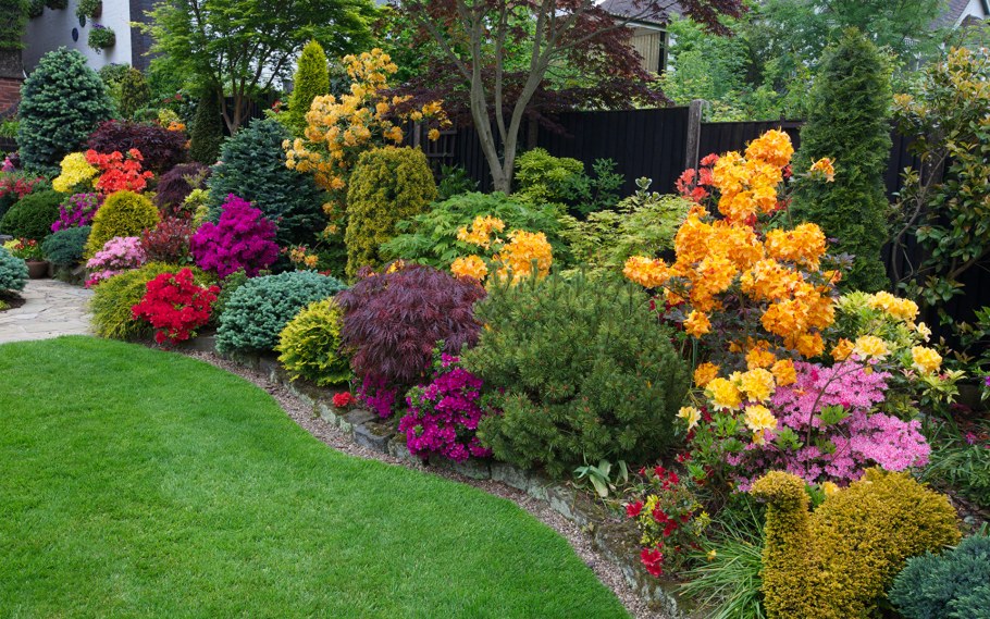 Многолетники в миксбордере