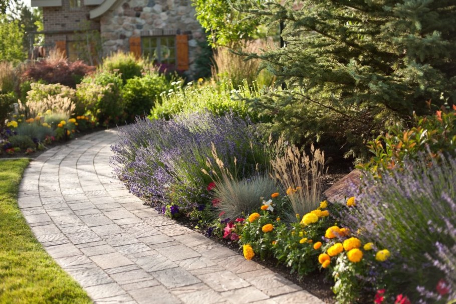 Койсман миксбордер